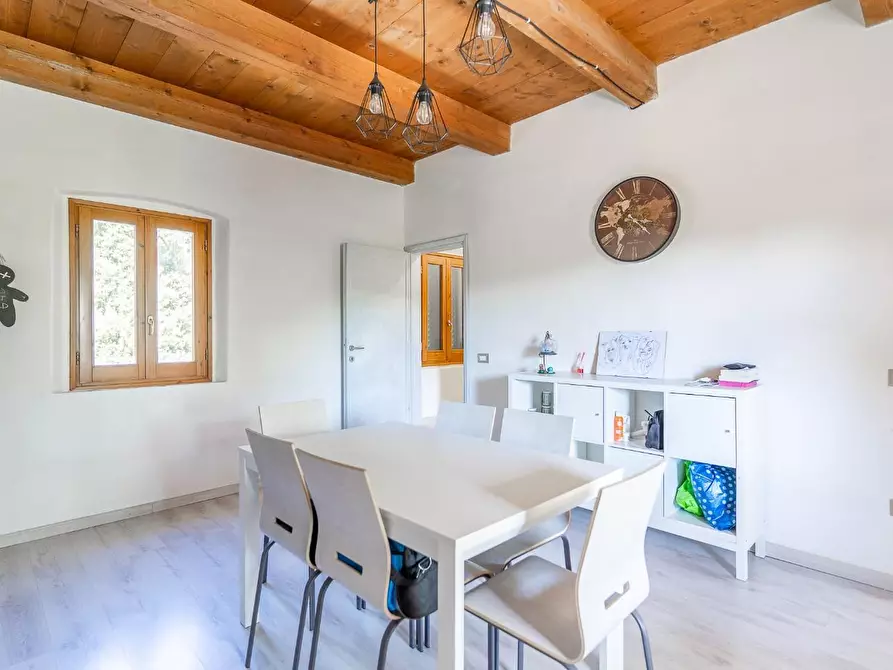 Immagine 25 di Terratetto in vendita  a Lamporecchio