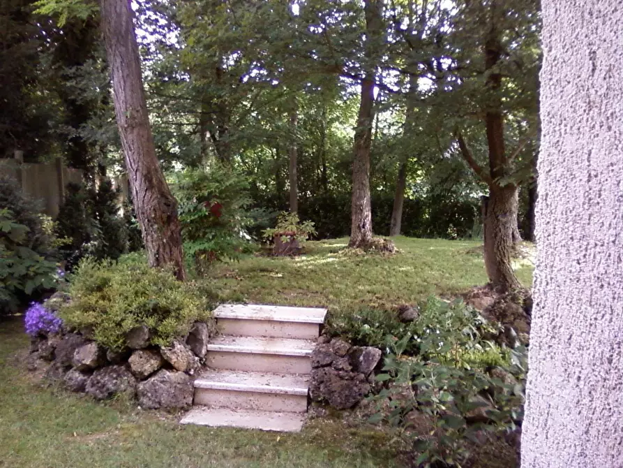 Immagine 5 di Casa colonica in vendita  a Poggibonsi