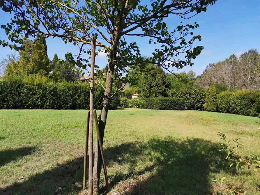 Immagine 51 di Casa colonica in vendita  a Poggibonsi