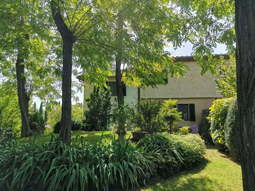 Immagine 29 di Casa colonica in vendita  a Poggibonsi