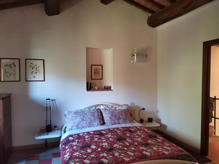 Immagine 34 di Casa colonica in vendita  a Poggibonsi