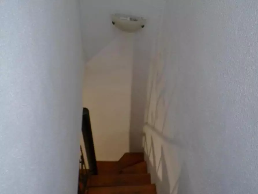 Immagine 18 di Terratetto in affitto  a Calci