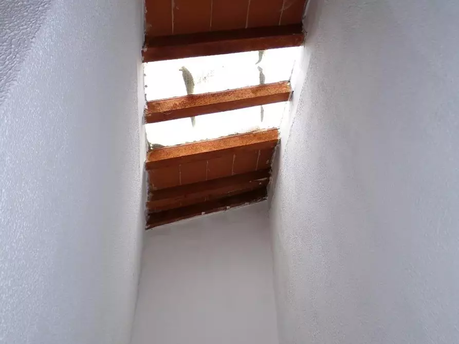 Immagine 19 di Terratetto in affitto  a Calci