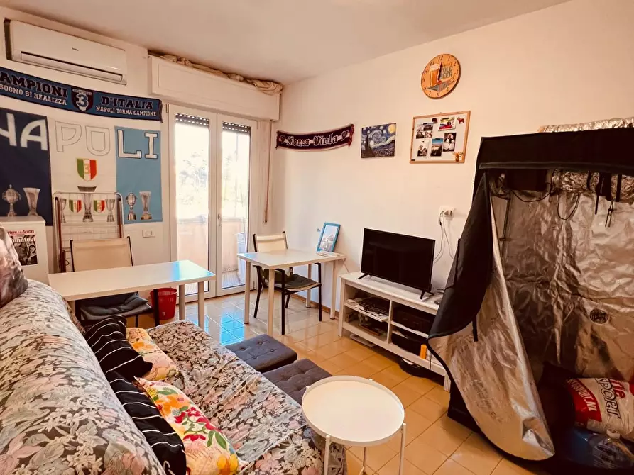 Immagine 6 di Appartamento in vendita  a Cecina