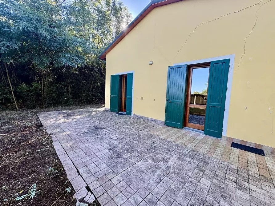 Immagine 39 di Villa in vendita  a Montaione