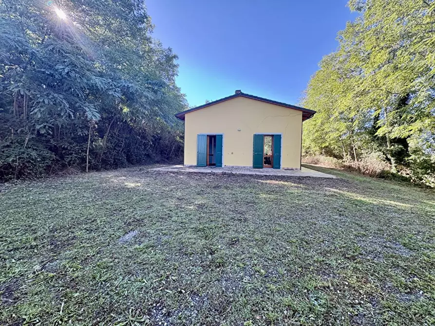 Immagine 42 di Villa in vendita  a Montaione