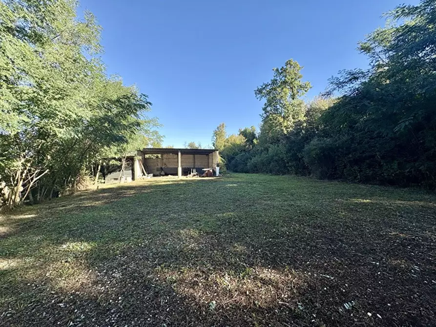 Immagine 40 di Villa in vendita  a Montaione