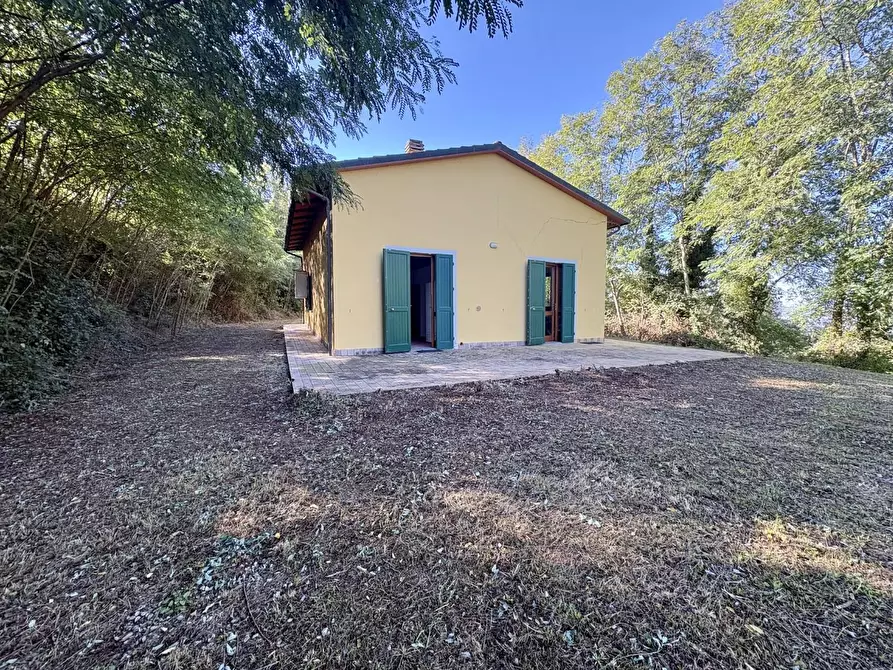 Immagine 41 di Villa in vendita  a Montaione