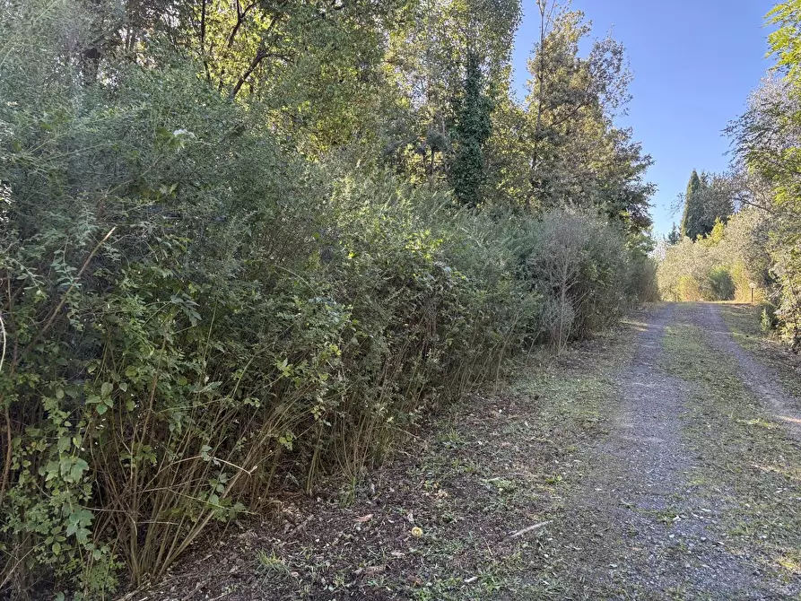 Immagine 45 di Villa in vendita  a Montaione