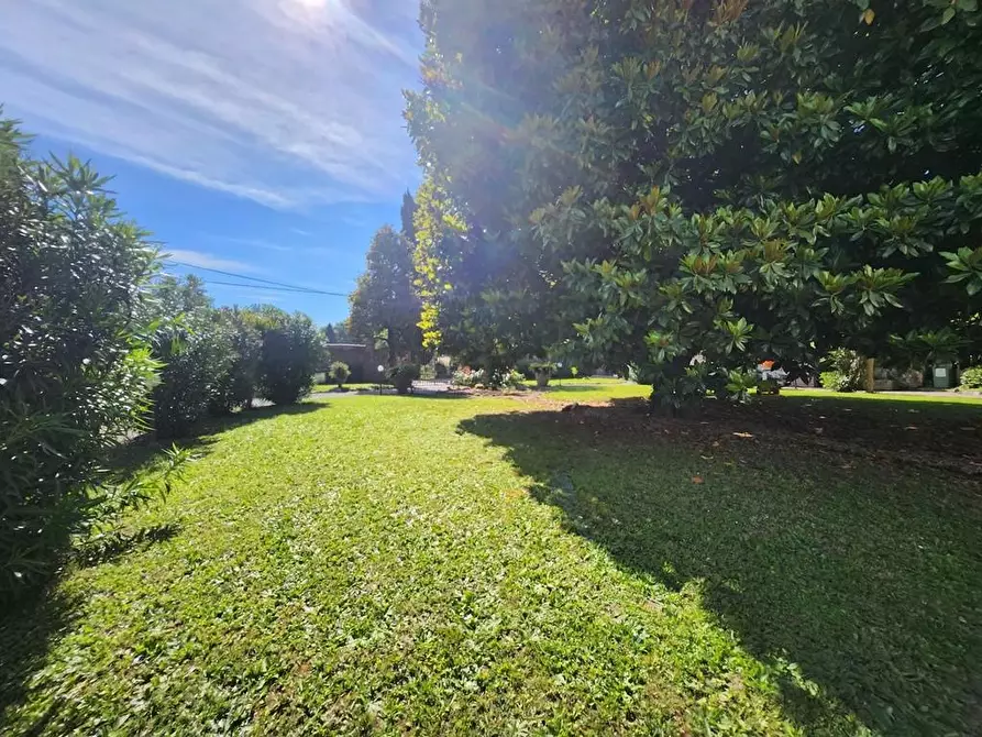 Immagine 4 di Appartamento in vendita  a Capannori