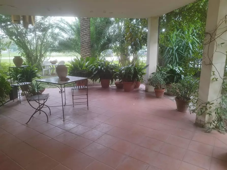 Immagine 6 di Appartamento in vendita  a Pisa