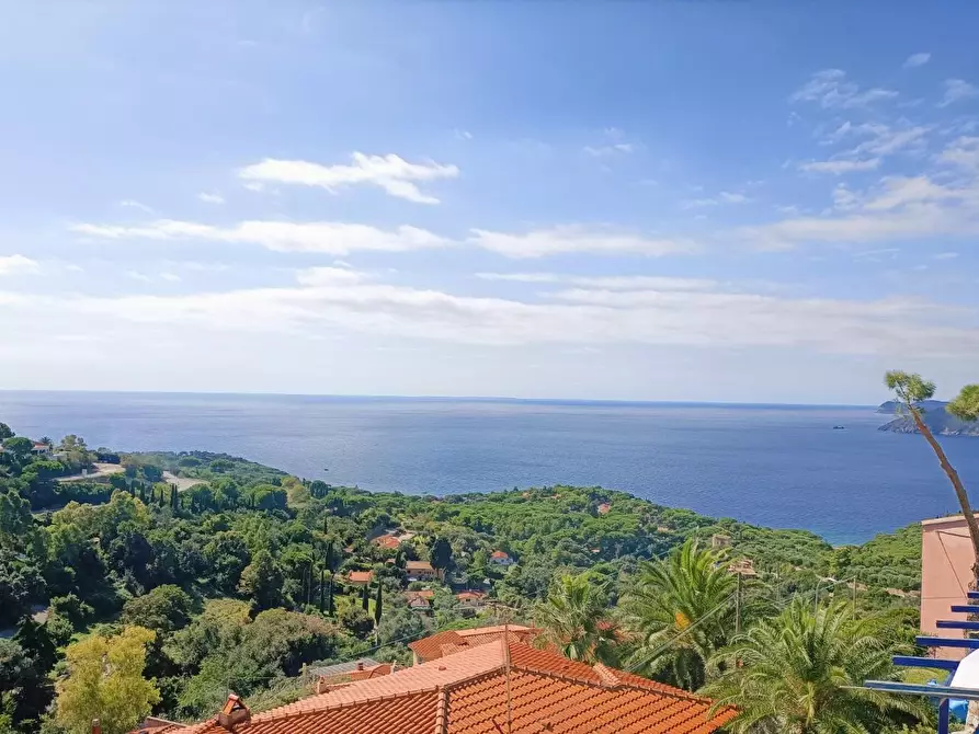 Immagine 19 di Appartamento in vendita  a Capoliveri