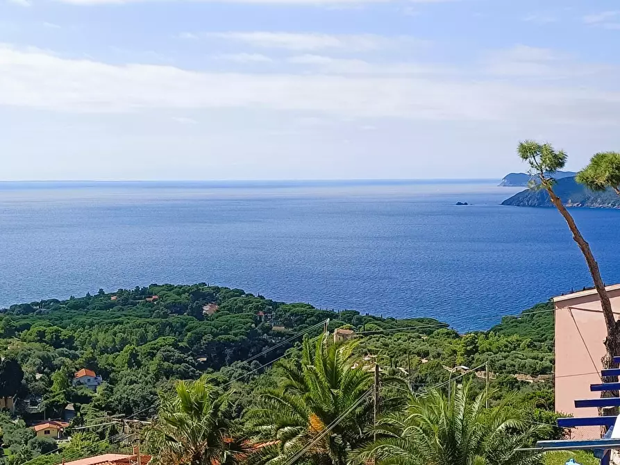 Immagine 23 di Appartamento in vendita  a Capoliveri