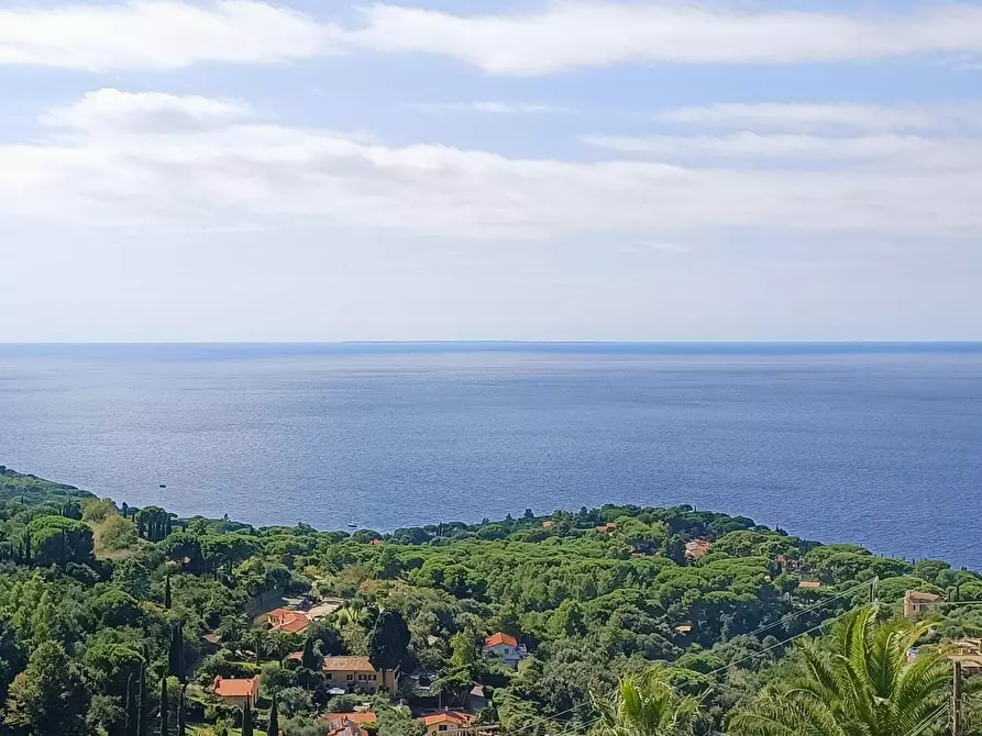 Immagine 22 di Appartamento in vendita  a Capoliveri