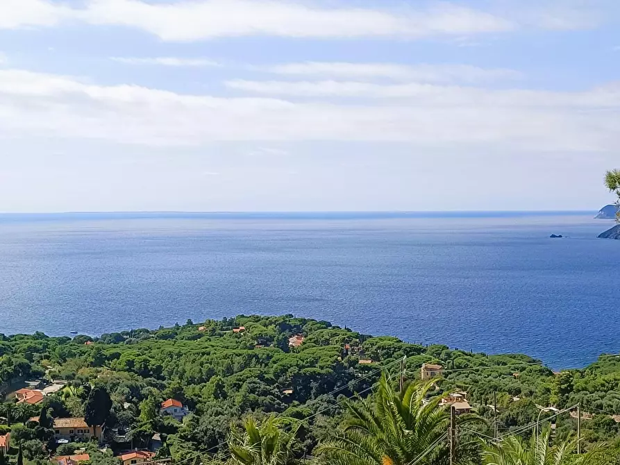 Immagine 21 di Appartamento in vendita  a Capoliveri