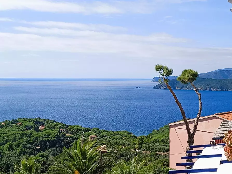 Immagine 20 di Appartamento in vendita  a Capoliveri