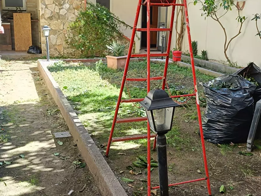 Immagine 4 di Appartamento in affitto  a Livorno