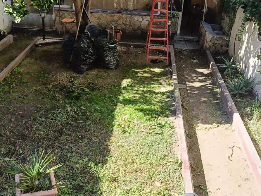 Immagine 2 di Appartamento in affitto  a Livorno