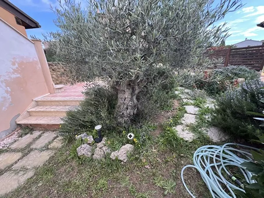 Immagine 8 di Appartamento in vendita  a Bibbona