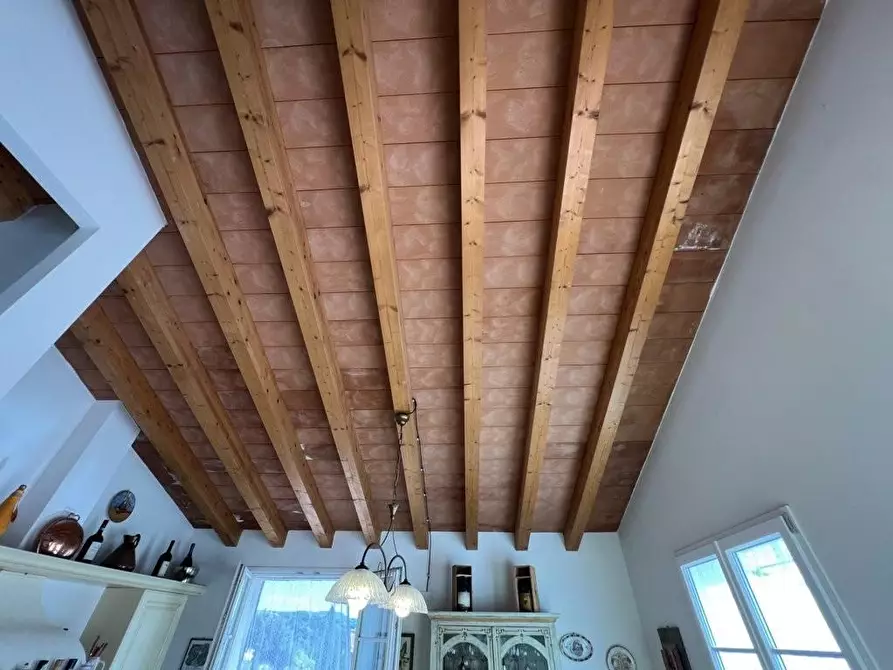 Immagine 29 di Appartamento in vendita  a Bibbona