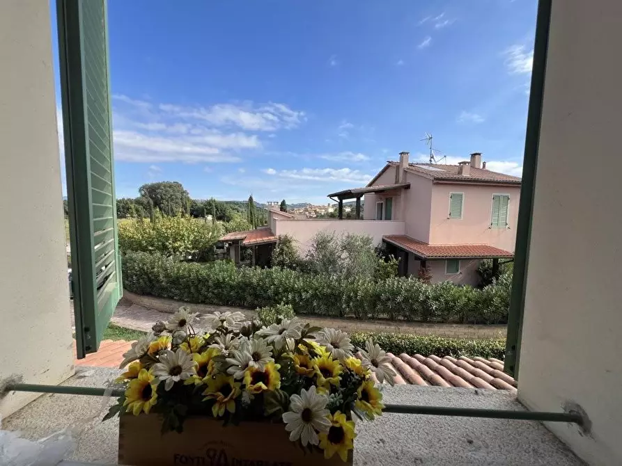 Immagine 2 di Appartamento in vendita  a Bibbona