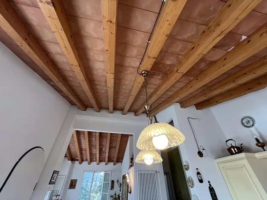 Immagine 12 di Appartamento in vendita  a Bibbona