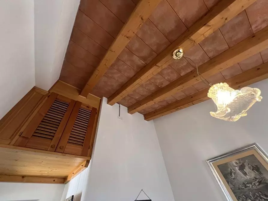 Immagine 31 di Appartamento in vendita  a Bibbona