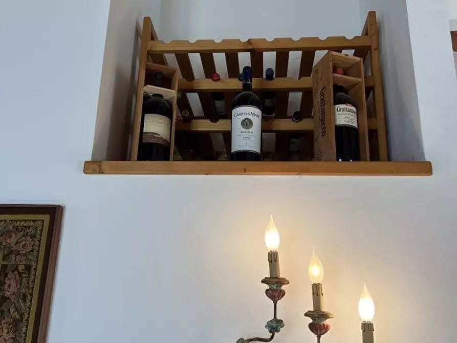 Immagine 30 di Appartamento in vendita  a Bibbona