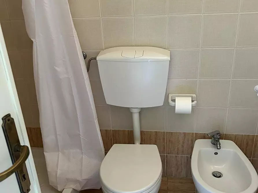 Immagine 5 di Appartamento in vendita  a Bibbona