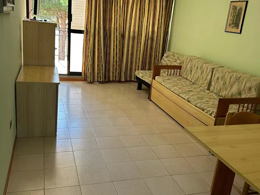 Immagine 8 di Appartamento in vendita  a Bibbona