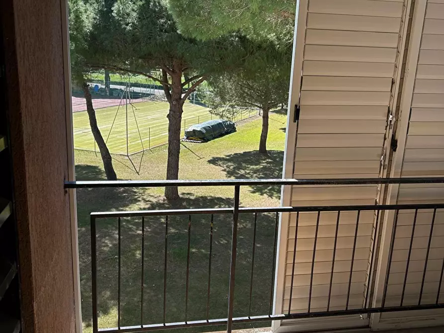 Immagine 4 di Appartamento in vendita  a Bibbona