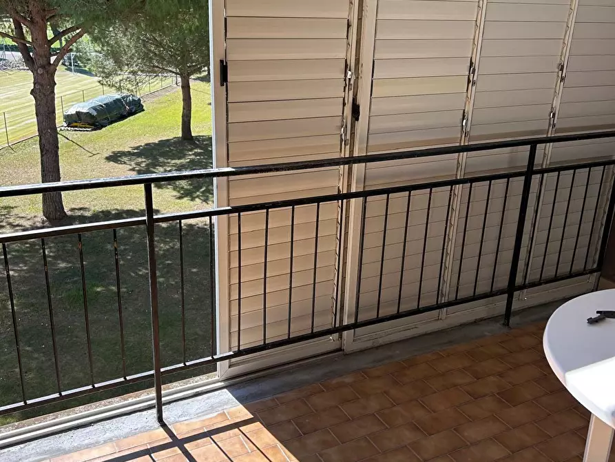 Immagine 3 di Appartamento in vendita  a Bibbona