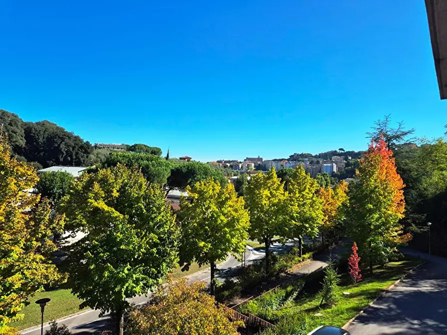Immagine 4 di Appartamento in vendita  a Siena