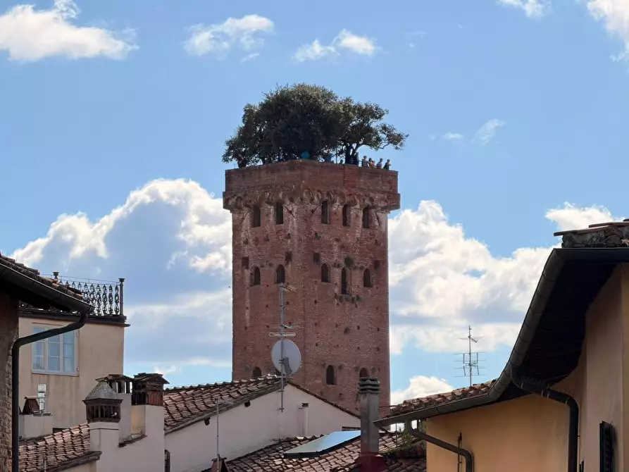 Immagine 35 di Appartamento in affitto  a Lucca