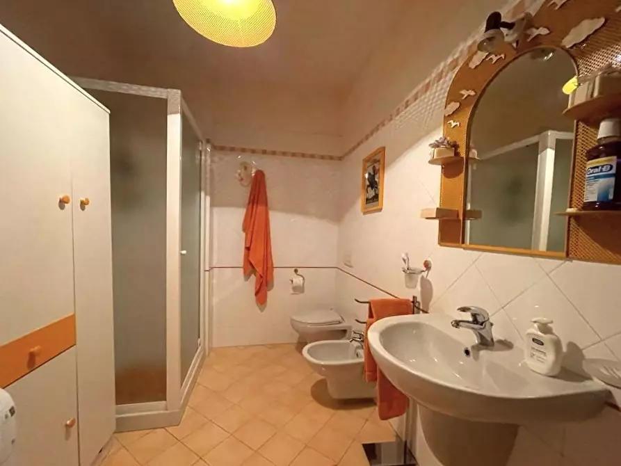 Immagine 13 di Appartamento in vendita  a Seravezza