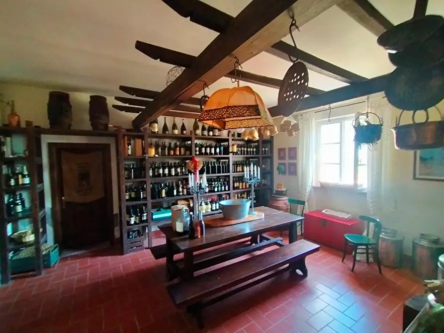 Immagine 3 di Casa colonica in vendita  a Casciana Terme Lari