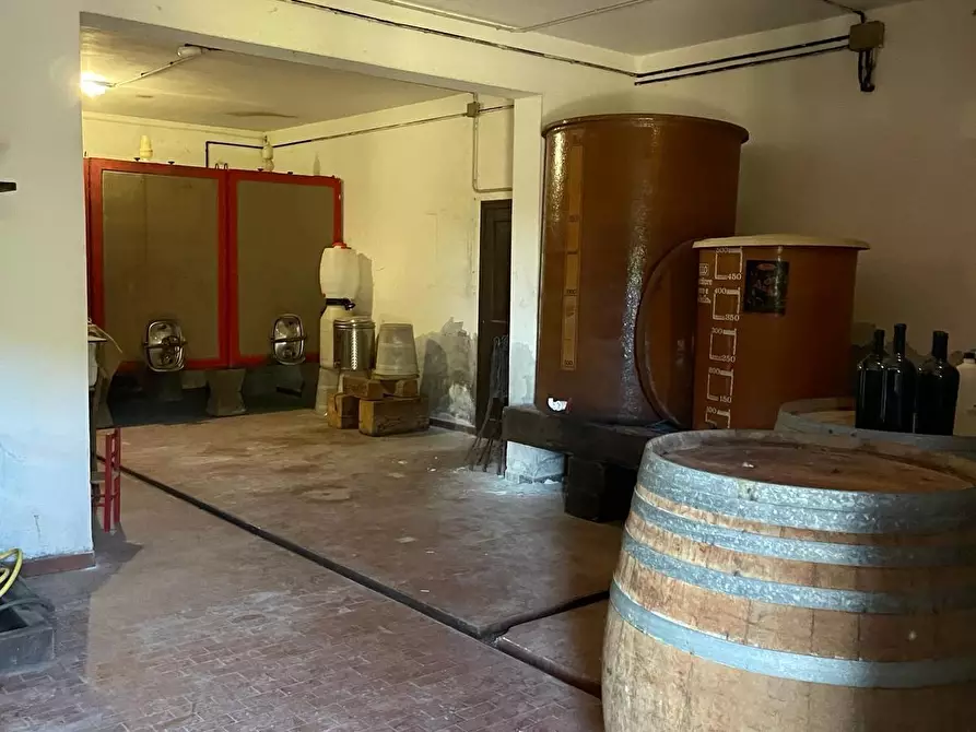 Immagine 7 di Casa colonica in vendita  a Casciana Terme Lari