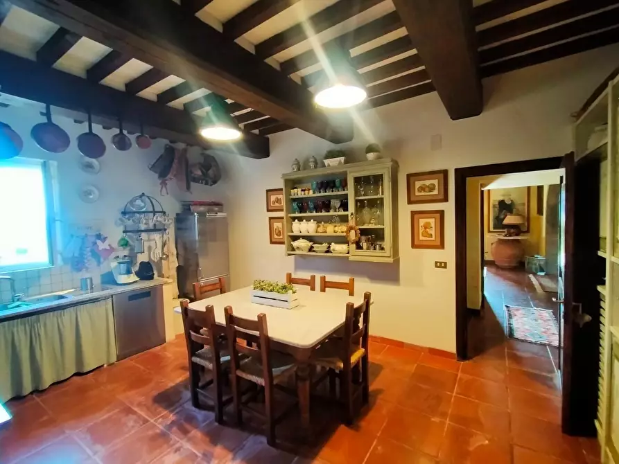 Immagine 4 di Casa colonica in vendita  a Casciana Terme Lari