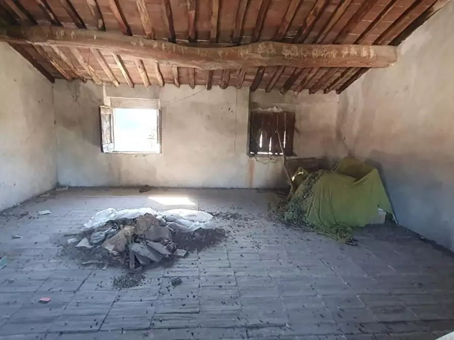 Immagine 3 di Terratetto in vendita  a Capannori