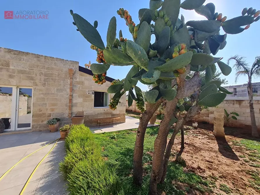 Immagine 15 di Villa in vendita  a Cavallino