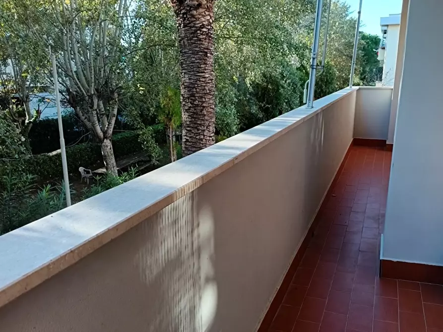 Immagine 25 di Appartamento in vendita  a Rosignano Marittimo