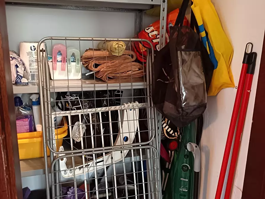 Immagine 12 di Appartamento in vendita  a Rosignano Marittimo