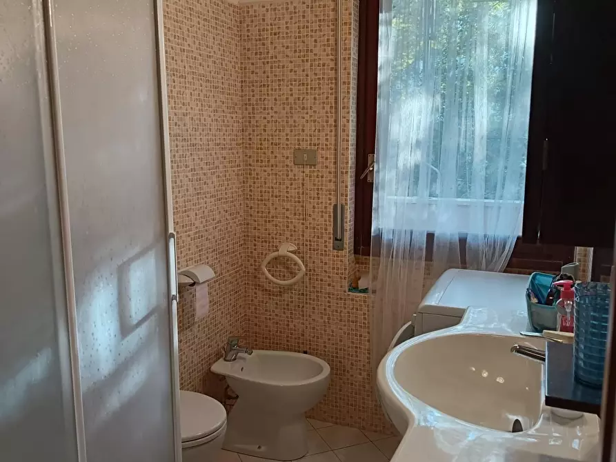 Immagine 27 di Appartamento in vendita  a Rosignano Marittimo