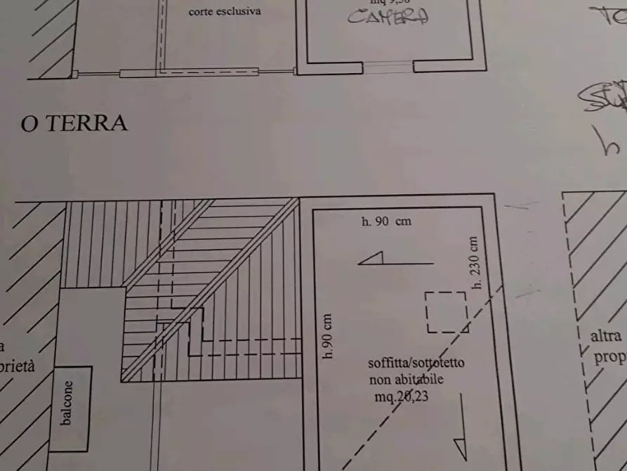Immagine 8 di Terratetto in vendita  a Viareggio