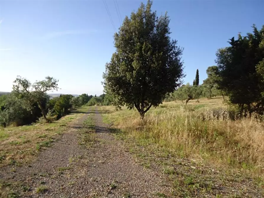 Immagine 11 di Casa colonica in vendita  a Gambassi Terme