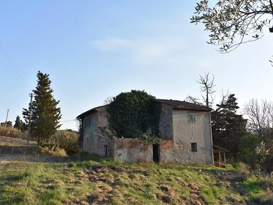 Immagine 3 di Casa colonica in vendita  a Gambassi Terme