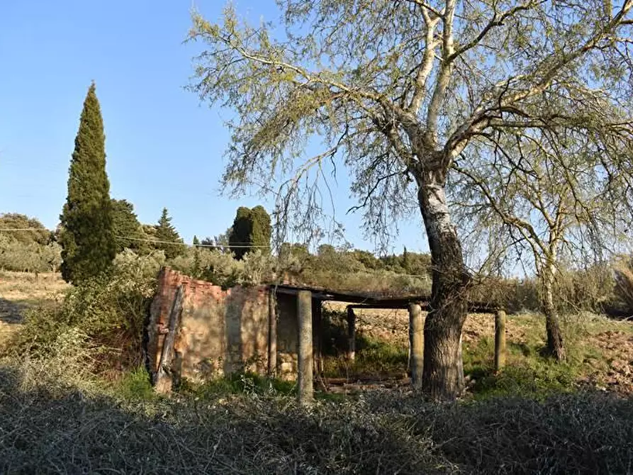 Immagine 6 di Casa colonica in vendita  a Gambassi Terme