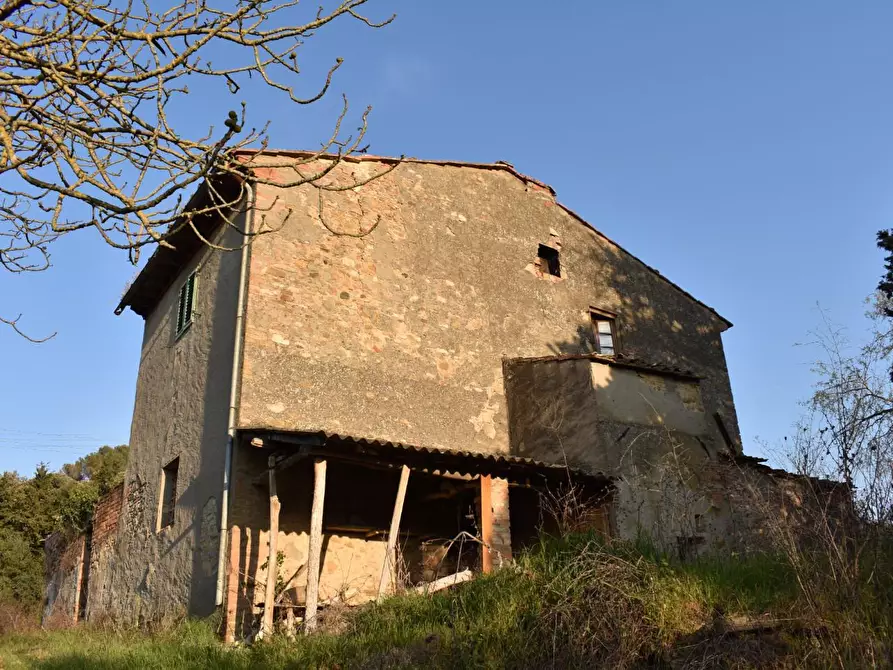 Immagine 9 di Casa colonica in vendita  a Gambassi Terme