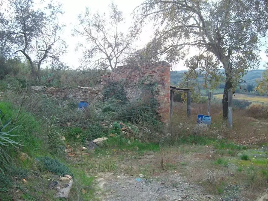 Immagine 10 di Casa colonica in vendita  a Gambassi Terme