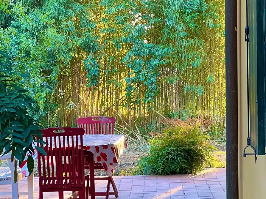 Immagine 36 di Casa indipendente in vendita  a Casciana Terme Lari